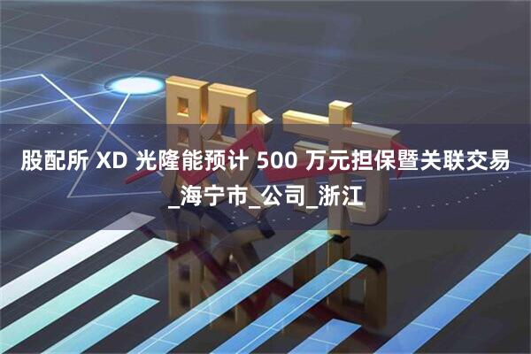 股配所 XD 光隆能预计 500 万元担保暨关联交易_海宁市_公司_浙江
