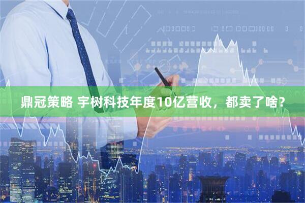 鼎冠策略 宇树科技年度10亿营收，都卖了啥？