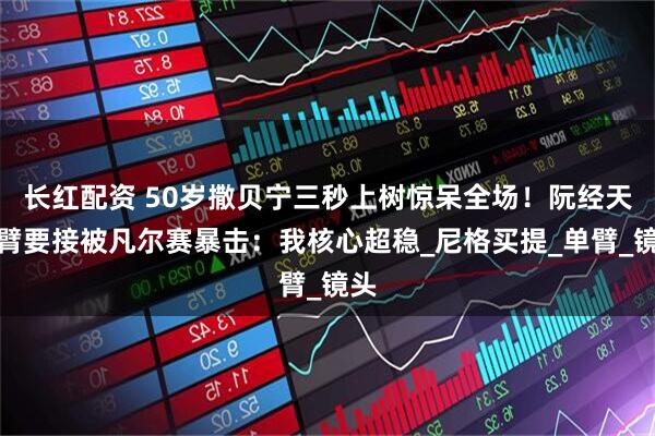 长红配资 50岁撒贝宁三秒上树惊呆全场！阮经天伸臂要接被凡尔赛暴击：我核心超稳_尼格买提_单臂_镜头