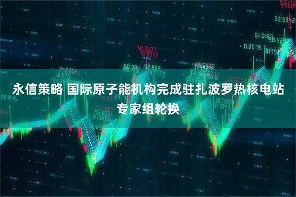 永信策略 国际原子能机构完成驻扎波罗热核电站专家组轮换